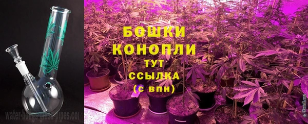 бутират Иннополис