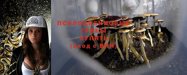 спайс Арсеньев