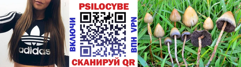 Псилоцибиновые грибы Psilocybe  даркнет сайт  Шуя 